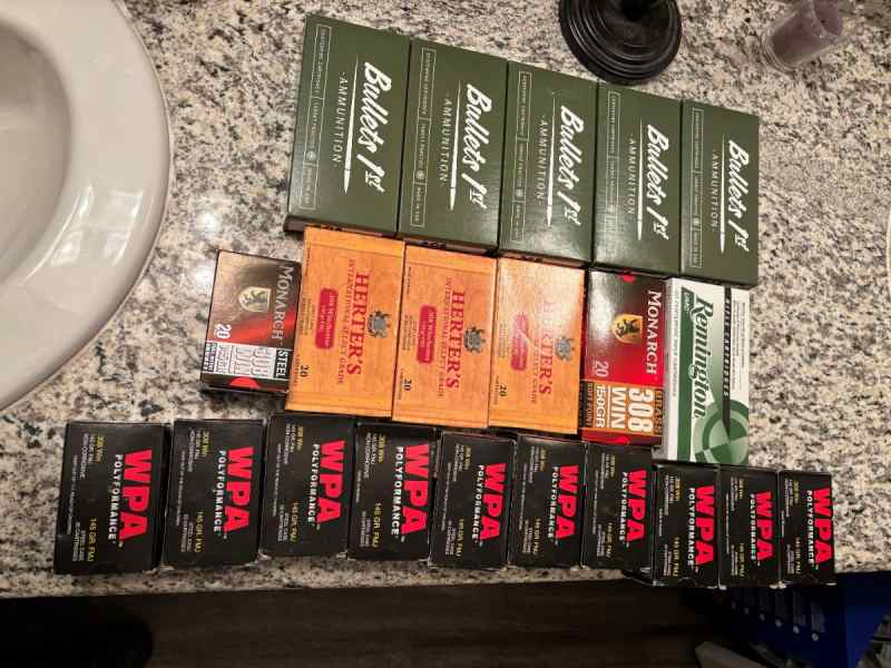 308 WIN ammo (various brands)