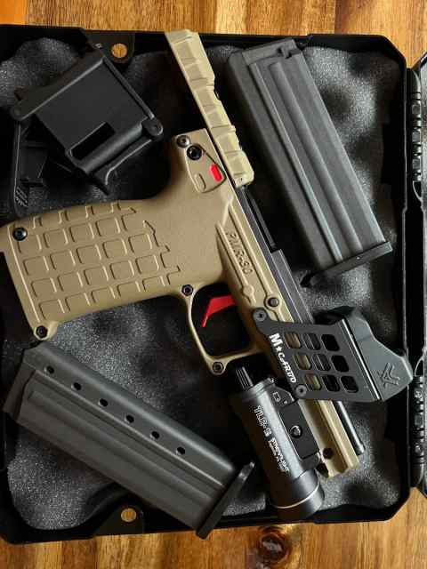 Keltec PMR 30 22 mag with ammo ,red dot and light