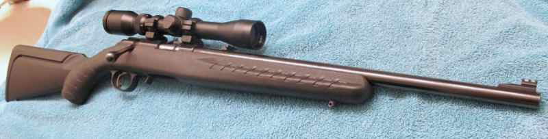 Ruger American 17 HMR