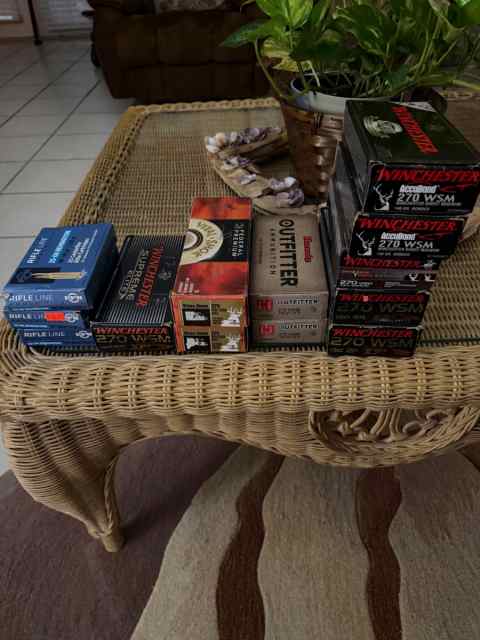 270 WSM and 25-06 ammo.