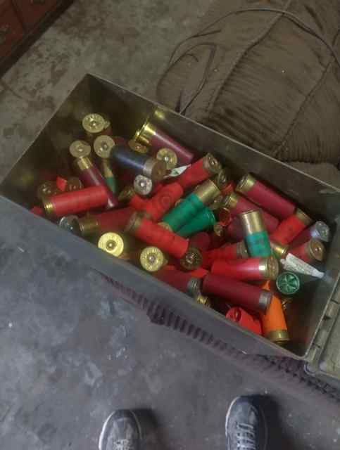 Ammo box full of 12g, mixed