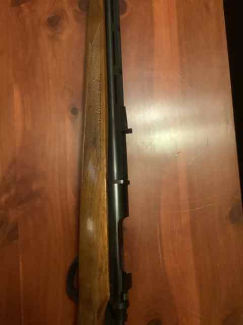 Remington 600 .308