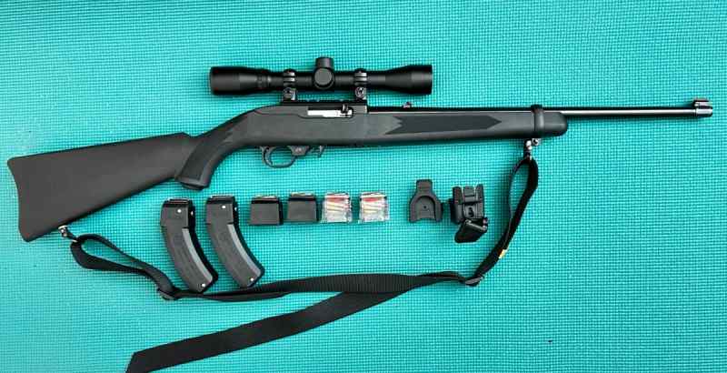 Ruger 10/22 Synth stock with scope