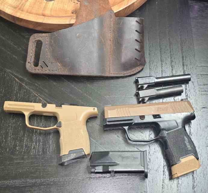 Sig P365 Parts