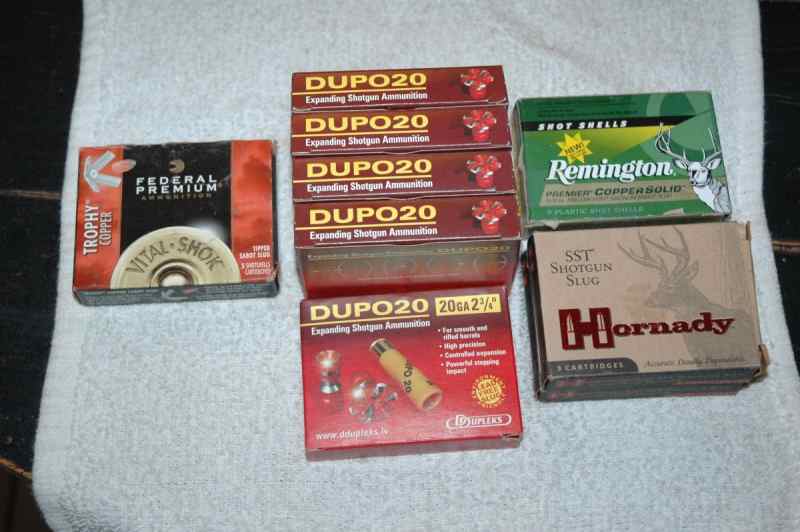 20 gauge Hornady,Dupo,Remington and Federal slugs