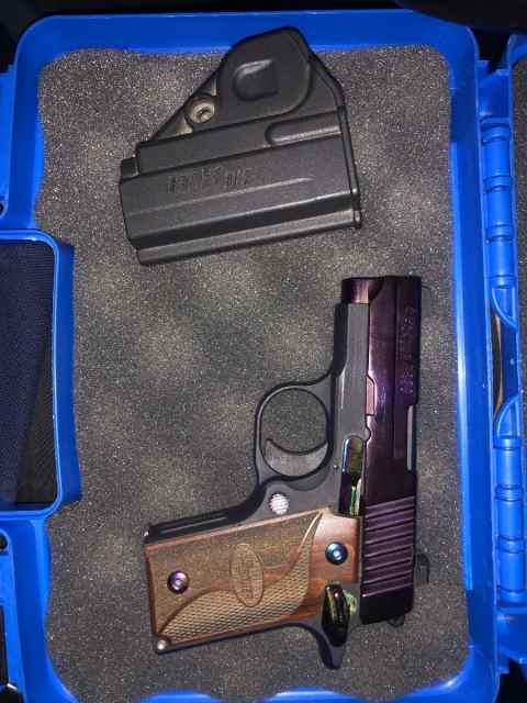 Sig p238 rainbow 