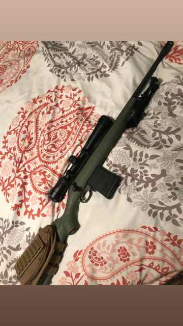 Ruger American Predator 308