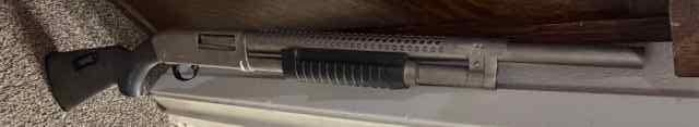 IMG_4644.jpeg