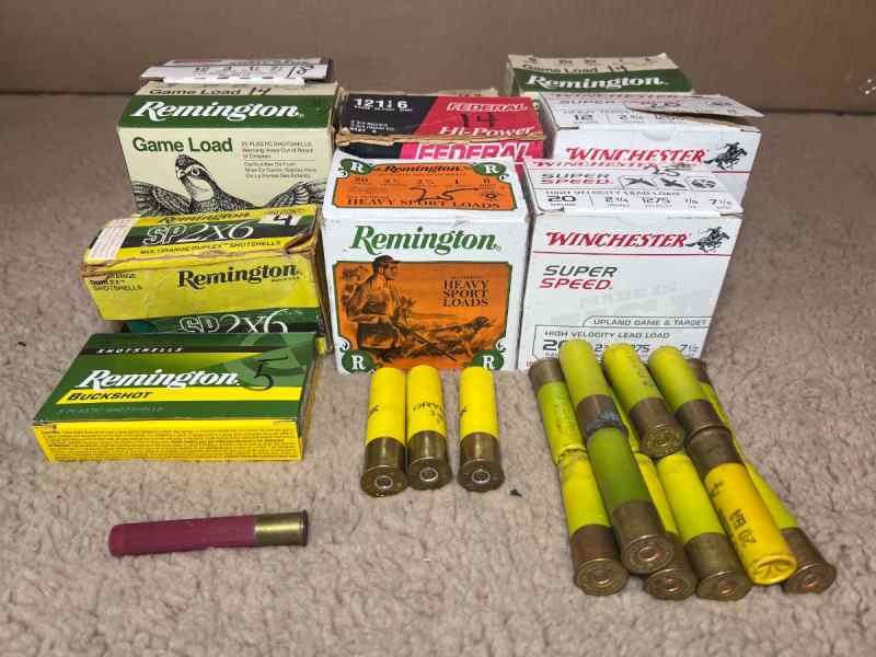 Shotgun shells-2.jpg