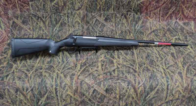 Winchester XPR 270