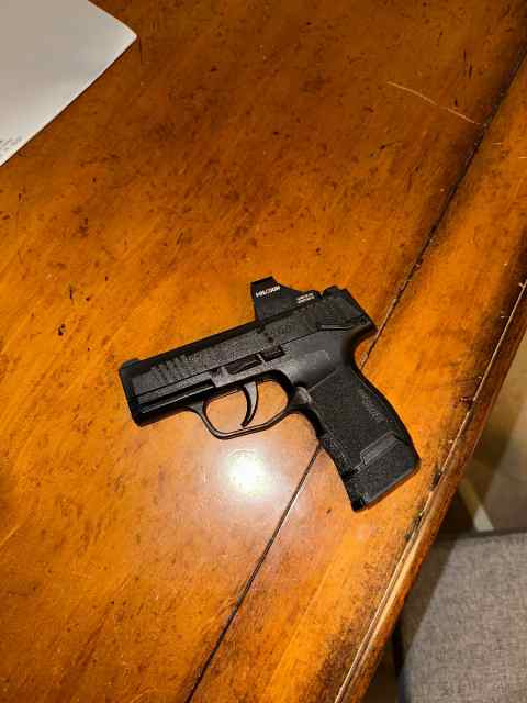 SAR P8S and Sig P365 .380