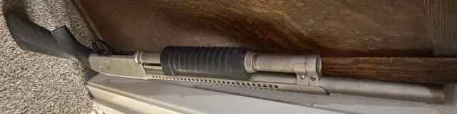 IMG_4645.jpeg