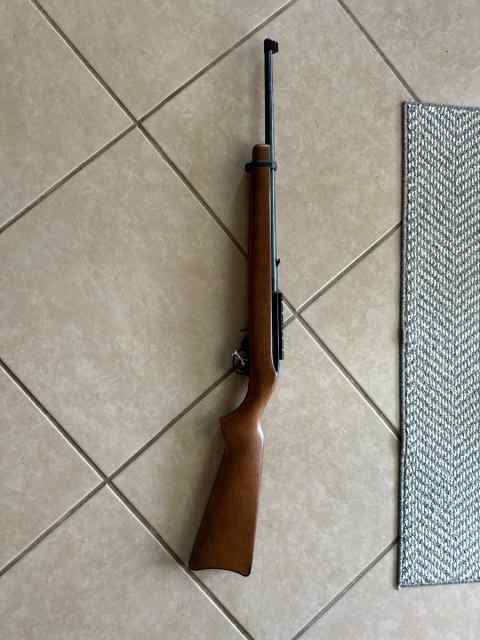 Ruger 10/22