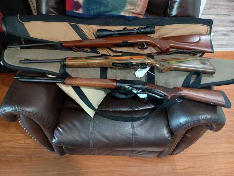  Steyr and Rossi For Sale