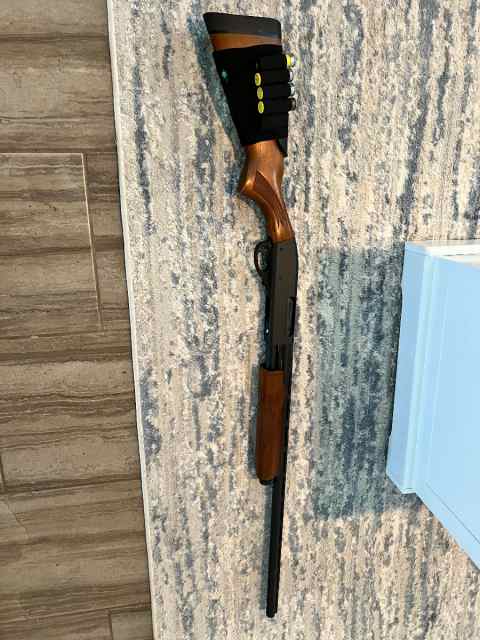 Remington 870 magnum 20 guage