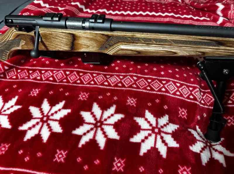 Savage 17 HMR